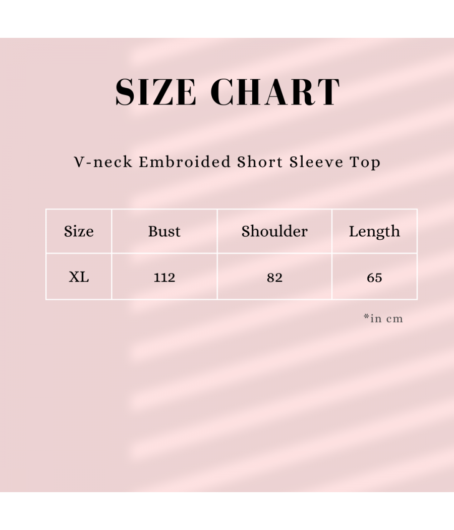 V-neck Embroided Short Sleeve Top